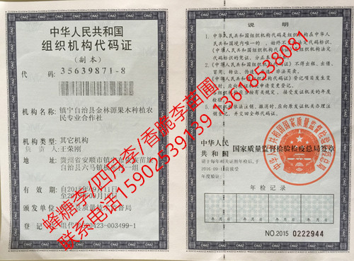 组织机构代码证书