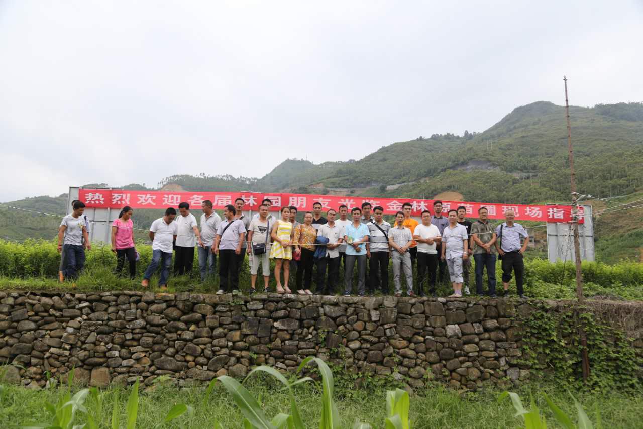 欢迎贵州惠水考察团到六马金林源考