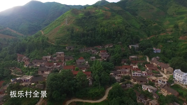 六马镇板乐村李子基地全景